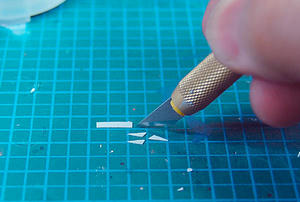 090411stf3.jpg