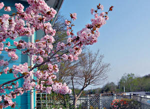 090501-01.jpg