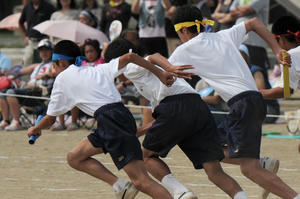 KOT_2539b.jpg