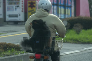 KOT_0331.jpg