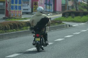 KOT_0330.jpg