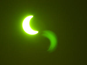 KOT_1107a.jpg