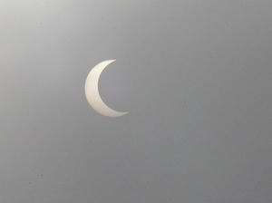 KOT_1115a.jpg
