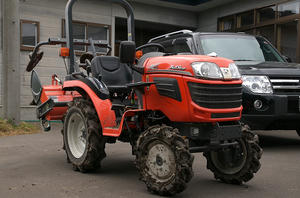 KOT_2402.jpg
