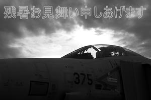 KOT_3285as.jpg