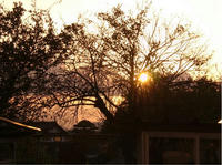 09-001.jpg