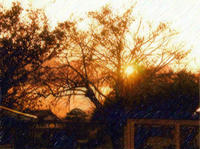 09-009.jpg