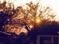 09-010.jpg