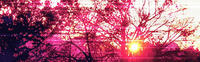 09-011.jpg