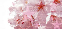 09-03-001.jpg