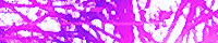 f42a1815.png