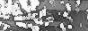 f9865510.png