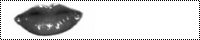 lip2.png