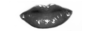 lip6.png