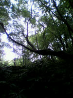 2010093021330000.jpg