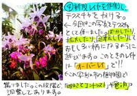 page4.jpg