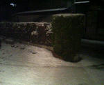 200802091803000.jpg