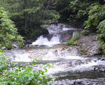 2008062216290000.jpg