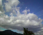 2008102510500000.jpg