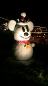 2008120102130000.jpg