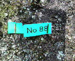 2009041914590000.jpg