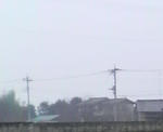 2010021016530000.jpg