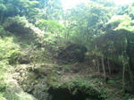 763c0b31.jpg