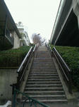 2013030315120000.jpg