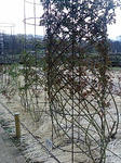 F1000238.JPG