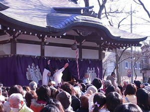 RIMG0265.JPG