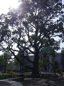 RIMG0056.jpg