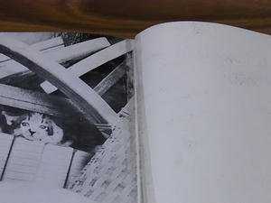 RIMG0684.JPG