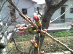 ST280025.JPG