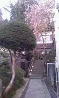 P2009_0408_154223.jpg