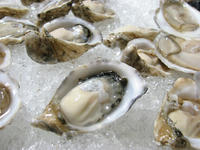 oyster.jpg