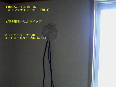 26ff00c5.jpg
