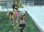 5e04498e.jpg