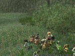 95255ea6jpeg