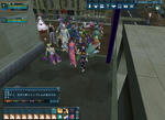 503ff8ac.jpg