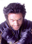 wolverine6.jpg