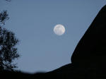 moon.jpg