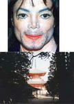 jackson.jpg