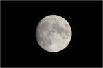 moonthanks.JPG