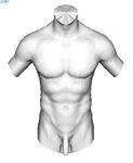 body1.JPG