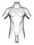 body2.JPG