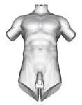 body4.JPG