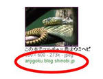 arijigoku.JPG