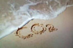 20100221032349.jpg