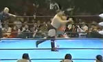 lariat.JPG