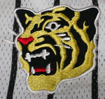 tigers2a.JPG